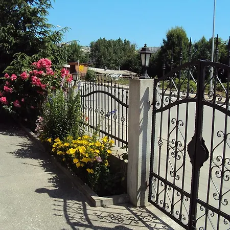 Amfora Bjala