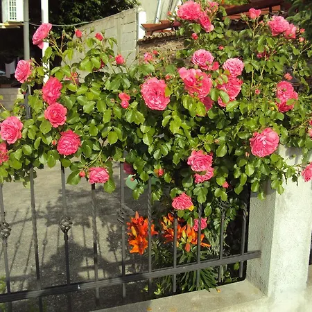 Гостевой дом Amfora Бяла