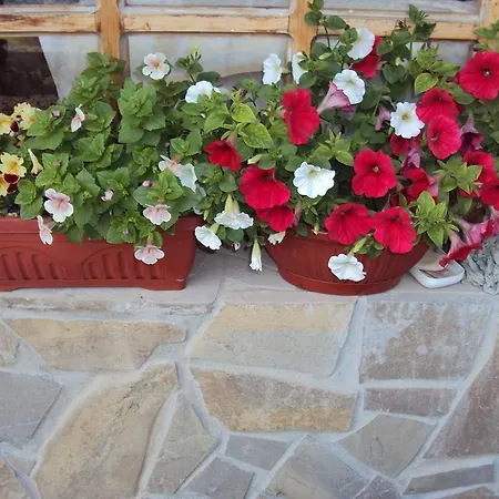 Amfora Гостевой дом