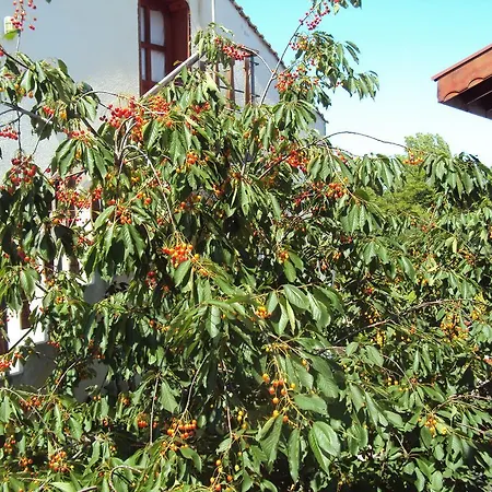 Amfora Гостевой дом