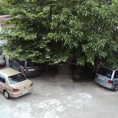 Amfora 비알라